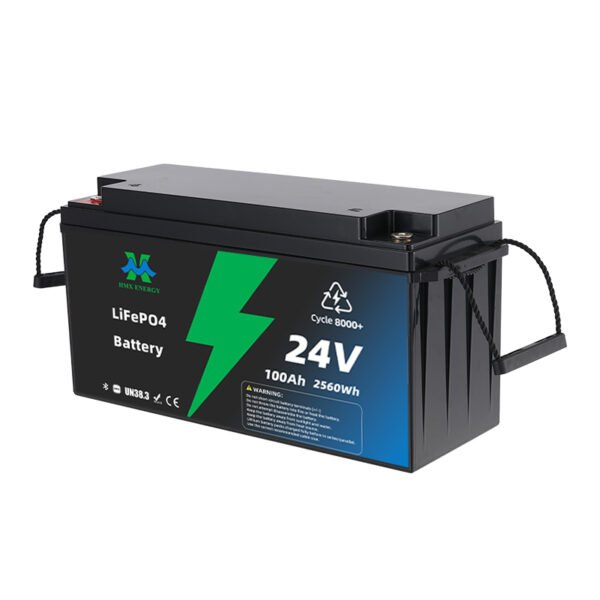 24V 100Ah LiFePO4 Lithium Iron Phosphate Battery Pack With BMS And Bluetooth