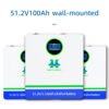 48V 100ah wall‑mounted LiFePO4 Batteries