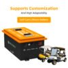 Battery pack for electric golf trolley cart