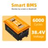 Lifepo4 lithium iron phosphate golf cart battery pack